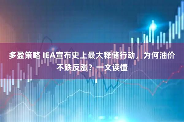 多盈策略 IEA宣布史上最大释储行动，为何油价不跌反涨？一文读懂