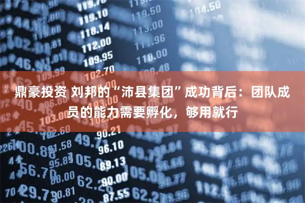 鼎豪投资 刘邦的“沛县集团”成功背后：团队成员的能力需要孵化，够用就行