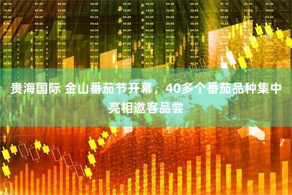 贵海国际 金山番茄节开幕，40多个番茄品种集中亮相邀客品尝