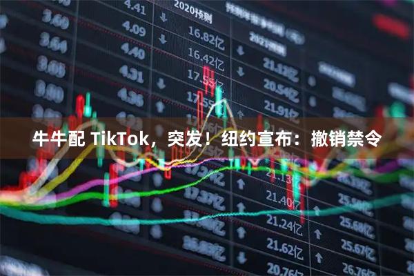 牛牛配 TikTok，突发！纽约宣布：撤销禁令