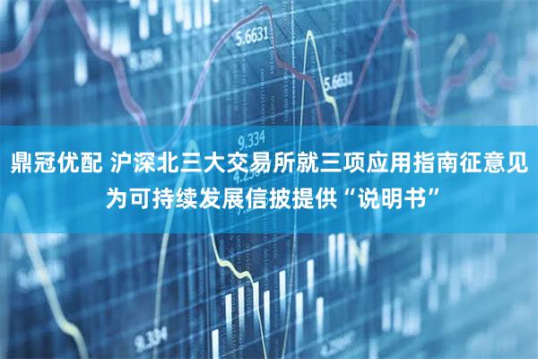 鼎冠优配 沪深北三大交易所就三项应用指南征意见 为可持续发展信披提供“说明书”