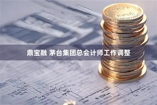 鼎宝融 茅台集团总会计师工作调整