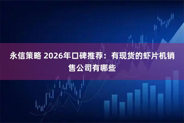 永信策略 2026年口碑推荐：有现货的虾片机销售公司有哪些