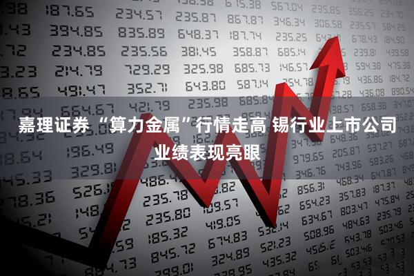 嘉理证券 “算力金属”行情走高 锡行业上市公司业绩表现亮眼