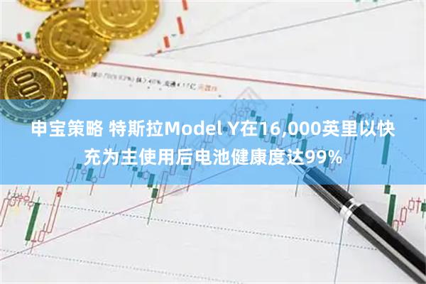 申宝策略 特斯拉Model Y在16,000英里以快充为主使用后电池健康度达99%