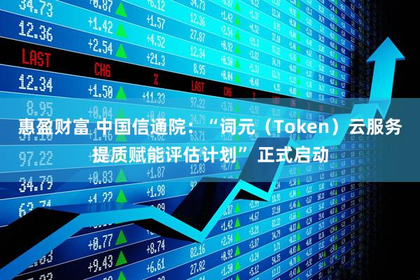 惠盈财富 中国信通院：“词元（Token）云服务提质赋能评估计划” 正式启动